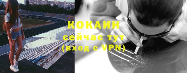 винт Каменка
