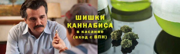 2c-b Каменногорск