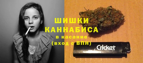 2c-b Каменногорск