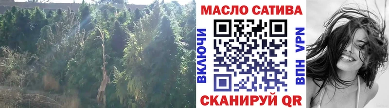 Дистиллят ТГК концентрат  Дыгулыбгей 